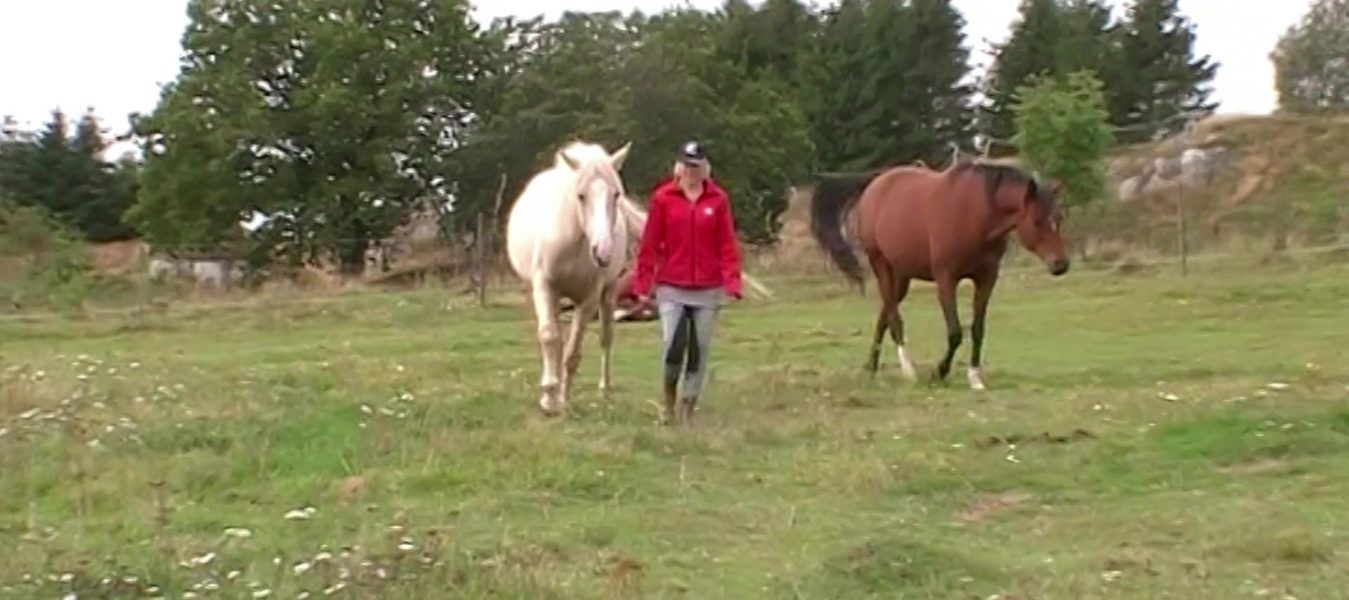 Hagrutin Att Följa Din Ledning
