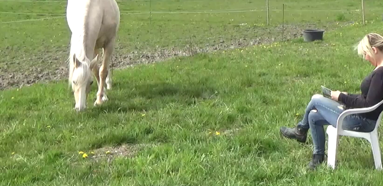 Bonding Ritual®– The Herd Rituals® – Hästarnas Språk® – Liberty Connection