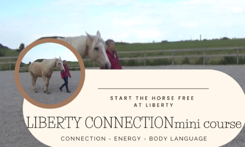 Truly Liberty Connection Mini Course (EN)