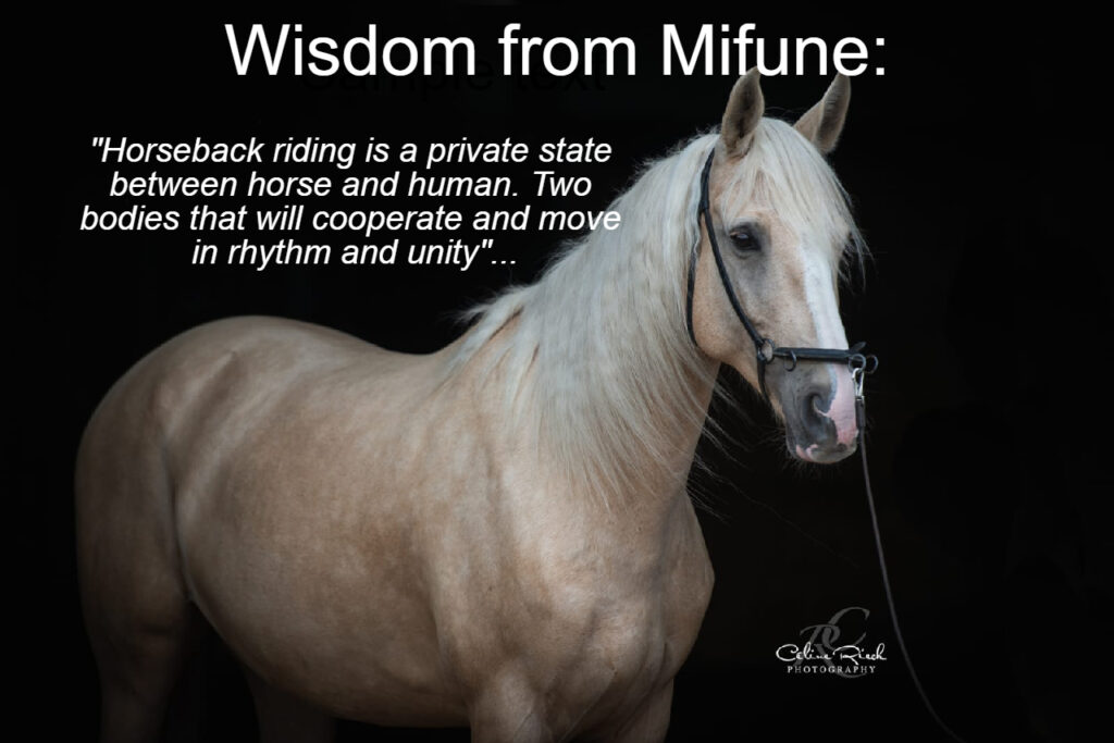 Wisdom from Mifune