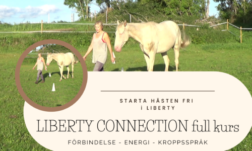 Truly Liberty Connection Full kurs (SV)
