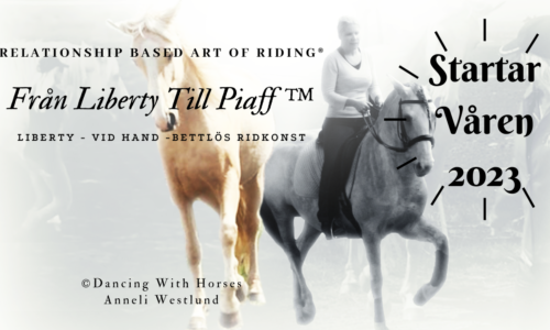 Relationship based Art Of Riding® – Från Liberty Till Piaff™