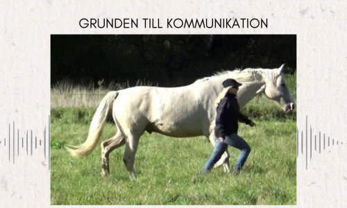 miniatyr för kurs